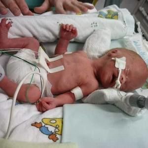 Meet your Posher, Bella